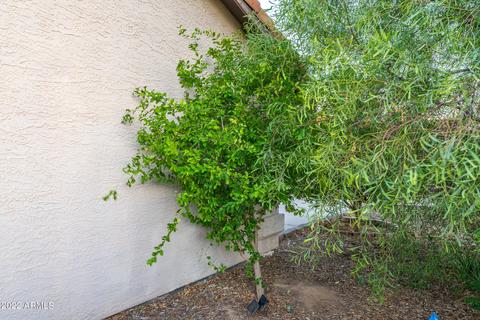 954 E Drake Dr, Tempe, AZ 85283 photo 26