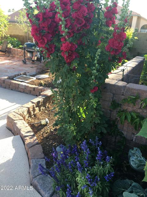 954 E Drake Dr, Tempe, AZ 85283 photo 65