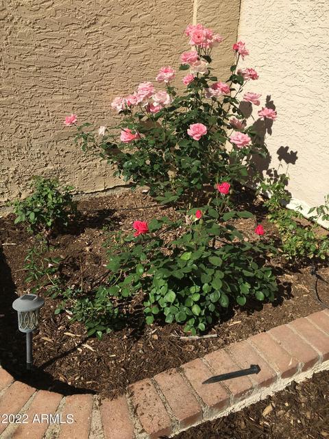 954 E Drake Dr, Tempe, AZ 85283 photo 64