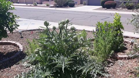 954 E Drake Dr, Tempe, AZ 85283 photo 61