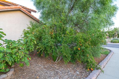 954 E Drake Dr, Tempe, AZ 85283 photo 25