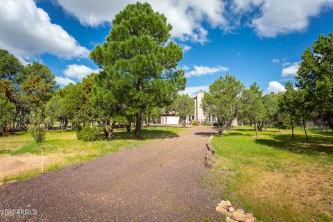2866 Four Point Cir, Overgaard, AZ 85933 photo 30
