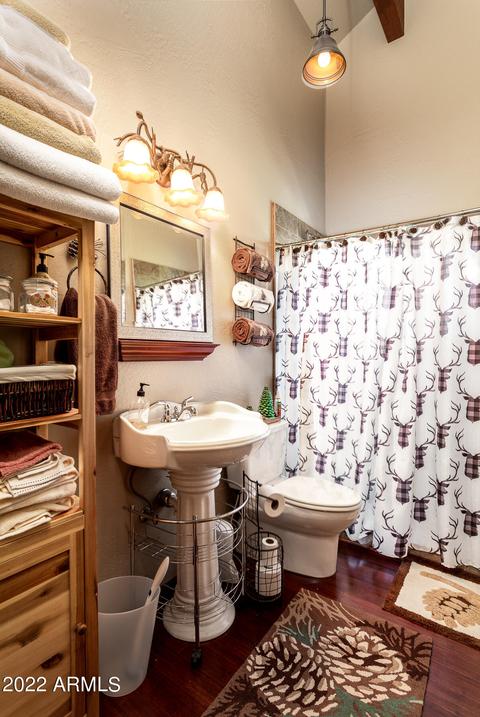 2866 Four Point Cir, Overgaard, AZ 85933 photo 19