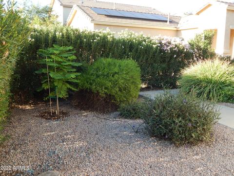 1403 S 7th St, Coolidge, AZ 85128 photo 28