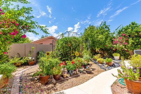 6561 E Sugarloaf St, Mesa, AZ 85215 photo 21