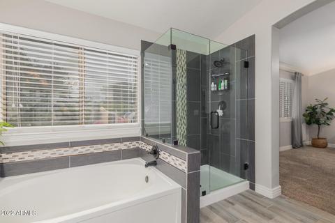4236 Ellis Cir, Mesa, AZ 85205 photo 18