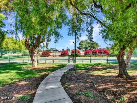 717 E Corte Oro --, Phoenix, AZ 85020 photo 37