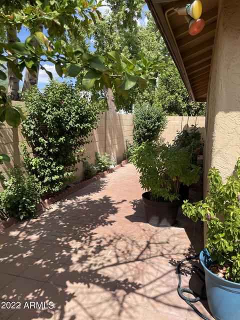 4802 E Koso Ct, Phoenix, AZ 85044 photo 25