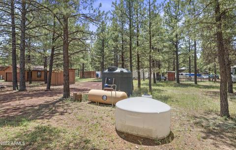 3578 E Pinetree Dr, Williams, AZ 86046 photo 19