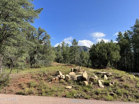 389 W Apache Trl #389, Pine, AZ 85544 photo 6