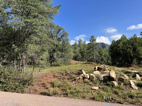 389 W Apache Trl #389, Pine, AZ 85544 photo 2