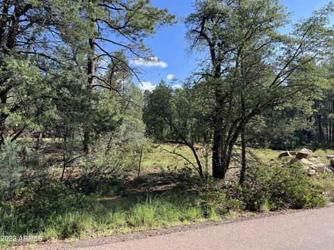 389 W Apache Trl #389, Pine, AZ 85544 photo 1