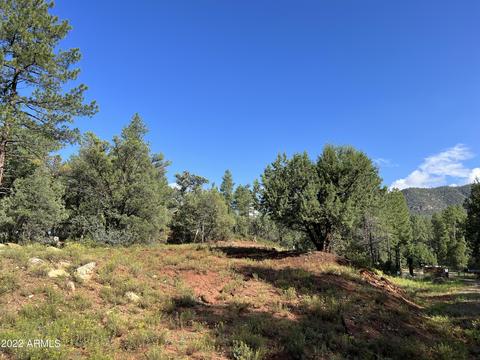 389 W Apache Trl #389, Pine, AZ 85544 photo 5