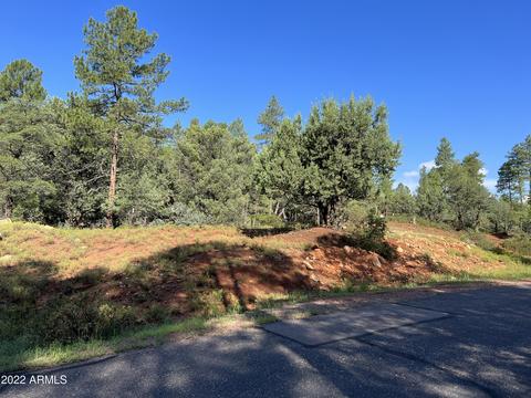 389 W Apache Trl #389, Pine, AZ 85544 photo 4