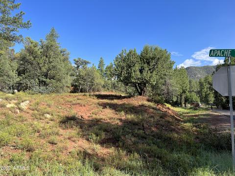 389 W Apache Trl #389, Pine, AZ 85544 photo 3