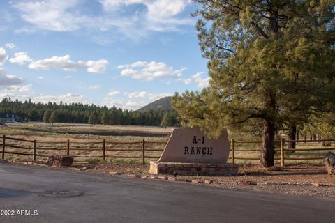 4540 N Brackin Ranch Rd #19, Flagstaff, AZ 86001