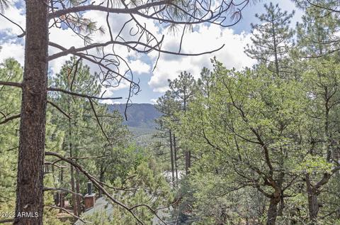 5963 W Spring Trl, Pine, AZ 85544 photo 42