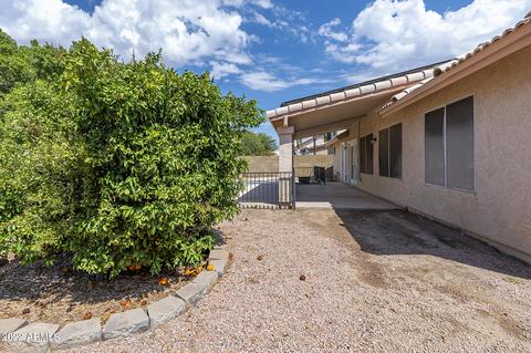 1630 N Avoca --, Mesa, AZ 85207 photo 22