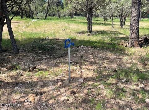 2862 Buck Cir #397, Overgaard, AZ 85933