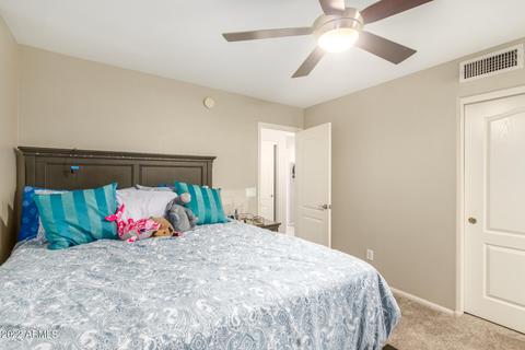 11217 E Persimmon Ave, Mesa, AZ 85212 photo 27