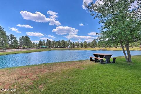 2708 High Pine Loop, Overgaard, AZ 85933 photo 27