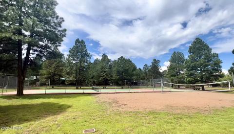 2708 High Pine Loop, Overgaard, AZ 85933 photo 25