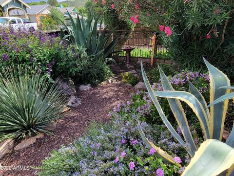 509 Campbell St, Bisbee, AZ 85603 photo 6