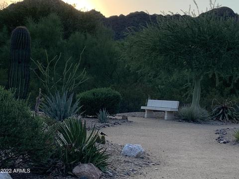 2533 E Carol Ave, Phoenix, AZ 85028 photo 28