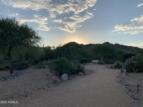 2533 E Carol Ave, Phoenix, AZ 85028 photo 27