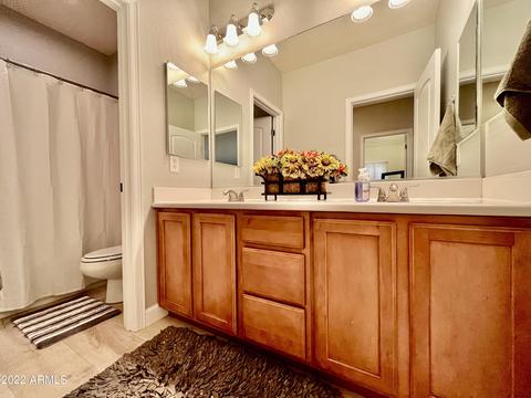 Bath - 2968 E Agritopia Loop N, Gilbert, AZ 85296 photo 6 of 9