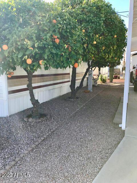 7750 E Broadway Rd E #398, Mesa, AZ 85208 photo 18