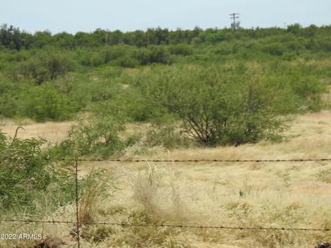 xxx105 E Business Loop #-, Bowie, AZ 85605 photo 20