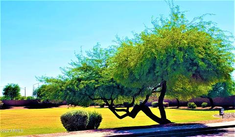 7710 E Nopal Ave, Mesa, AZ 85209 photo 30