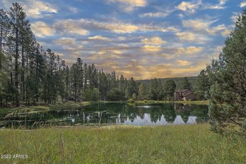 699 W Memory Ln, Payson, AZ 85541 photo 34