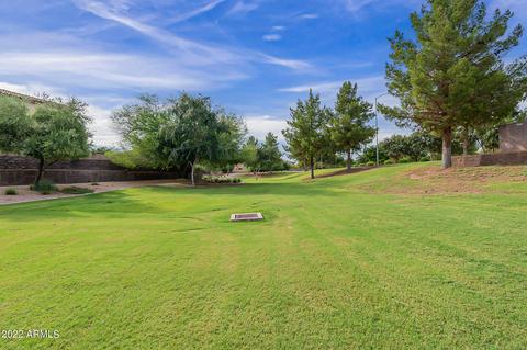 10863 E Reginald Ave, Mesa, AZ 85212 photo 50