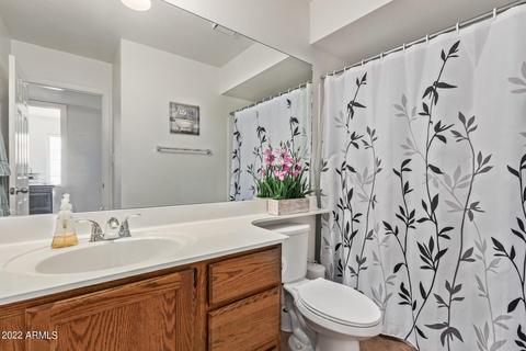 3225 E Carol Ave, Mesa, AZ 85204 photo 21