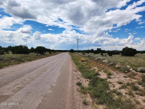 110 Mesa Redondo Ranch Rd #-, Concho, AZ 85924