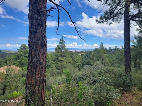 5910 W Sleepy Hollow Dr #40, Prescott, AZ 86305