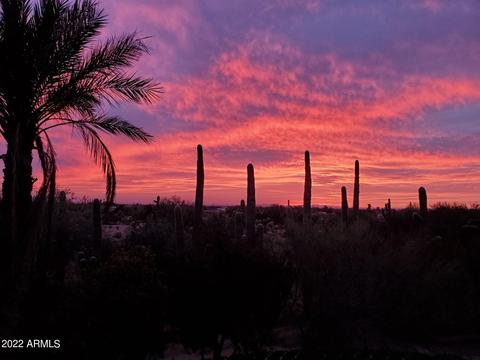7874 N Andi Ln, Florence, AZ 85132 photo 23
