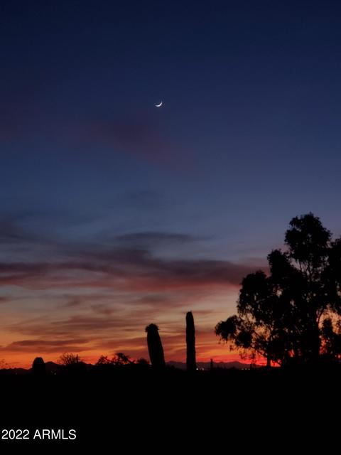 7874 N Andi Ln, Florence, AZ 85132 photo 22