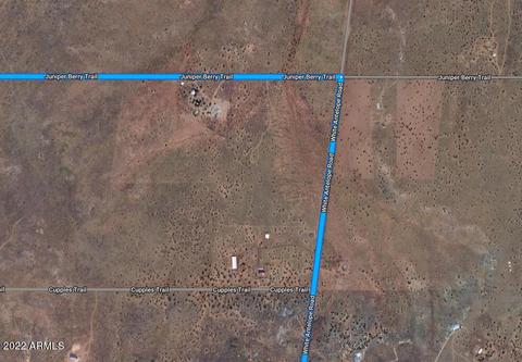 8328 E Juniper Berry Trl #-, Snowflake, AZ 85937 photo 6