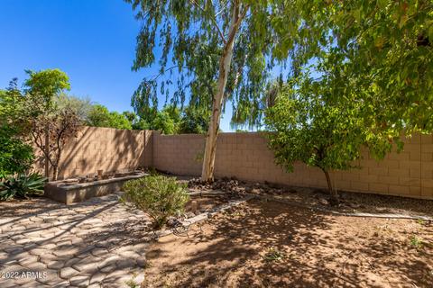 10043 E Kilarea Ave, Mesa, AZ 85209 photo 24