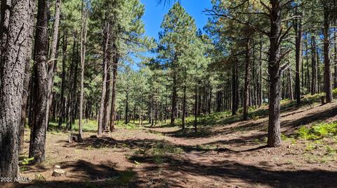 2081 Turkey Trl #469, Forest Lakes, AZ 85931