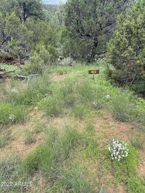 3634 Bobcat Trl #49, Overgaard, AZ 85933