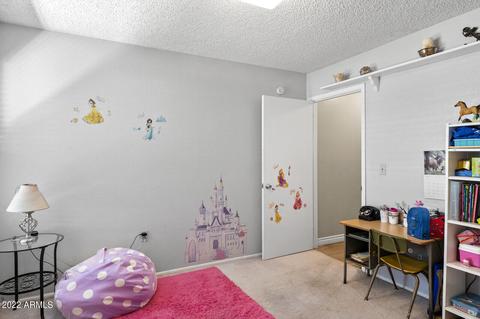 4934 E Grandview St, Mesa, AZ 85205 photo 43