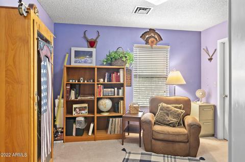 4934 E Grandview St, Mesa, AZ 85205 photo 46