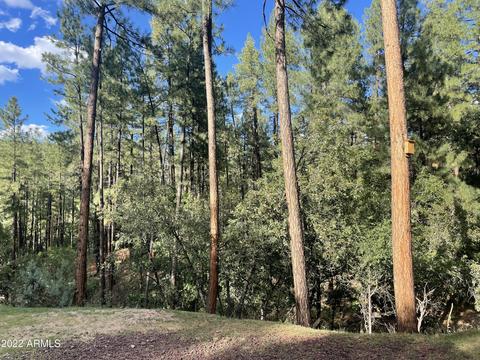 4807 N Diane Cir, Pine, AZ 85544 photo 4