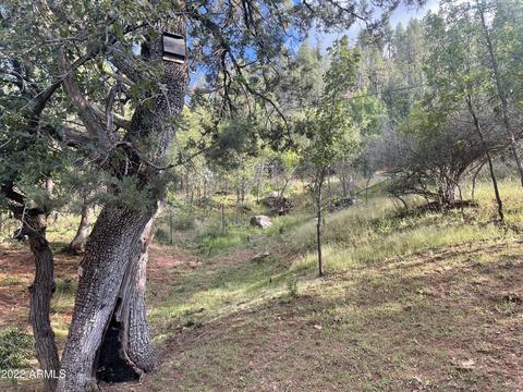 4807 N Diane Cir, Pine, AZ 85544 photo 5