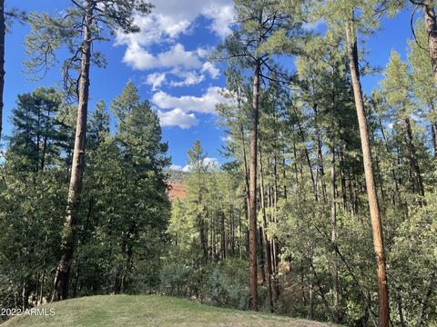 4807 N Diane Cir, Pine, AZ 85544 photo 3