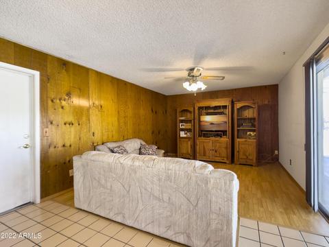 312 E Moore Ave, Gilbert, AZ 85234 photo 12